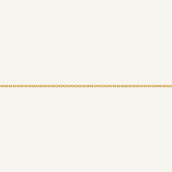 B-Gold-3,leftcolumn