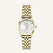 Ace XS Gold