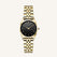 Ace XS Black Gold